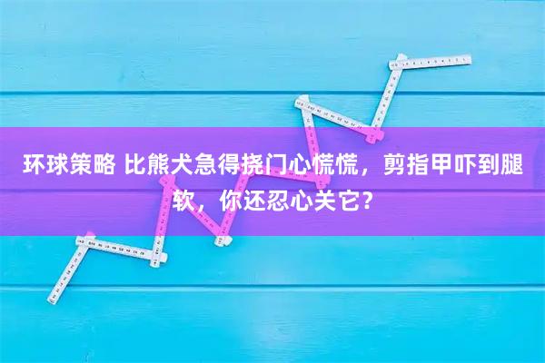 环球策略 比熊犬急得挠门心慌慌，剪指甲吓到腿软，你还忍心关它？