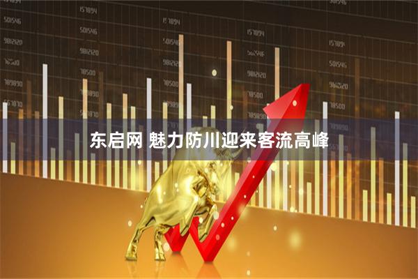 东启网 魅力防川迎来客流高峰