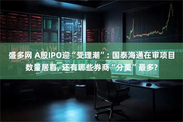 盛多网 A股IPO迎“受理潮”: 国泰海通在审项目数量居首, 还有哪些券商“分羹”最多?
