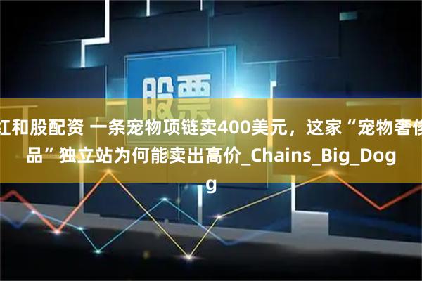 红和股配资 一条宠物项链卖400美元，这家“宠物奢侈品”独立站为何能卖出高价_Chains_Big_Dog