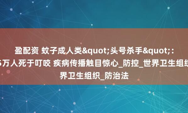 盈配资 蚊子成人类"头号杀手"：每年72.5万人死于叮咬 疾病传播触目惊心_防控_世界卫生组织_防治法