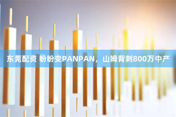 东莞配资 盼盼变PANPAN，山姆背刺800万中产